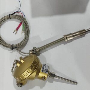 Thermo couple a canne