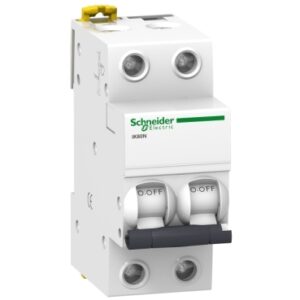 ACTI9 IK60N 2P 6A C DISJONCTEUR MINIATURE A9K schneider